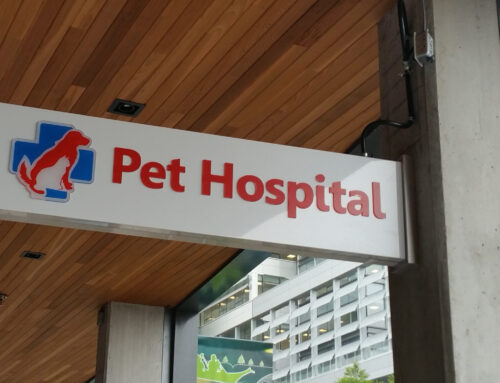 PET HOSPITAL